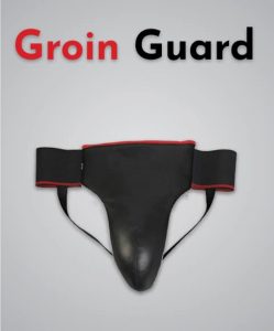 groin guard MMA